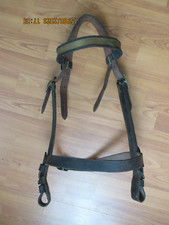 Halfter Lederhalfter Reithalfter Eskadron  Halfter Leather in black für Kaltblut