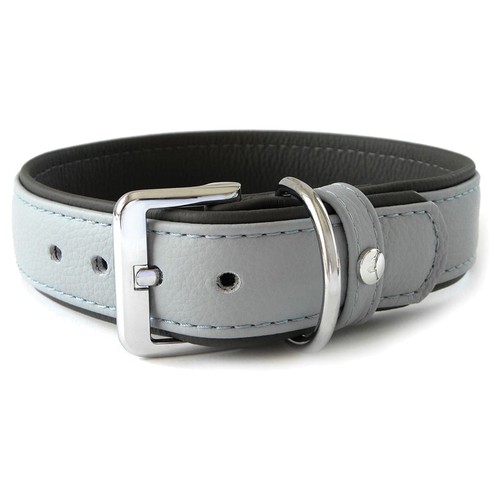 Das lederband hunde - das,