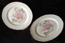 2 x Carl Schumann Prunkteller