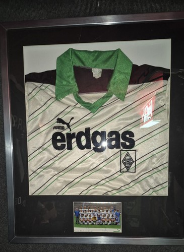Puma borussia mönchengladbach - puma,
