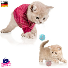 Elektrischer Katzenball