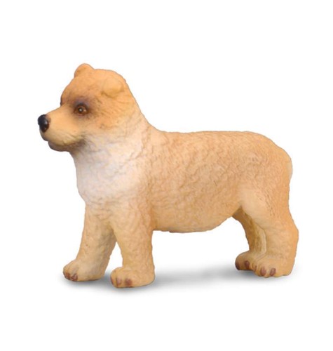 Chow welpe cm hunde - chow,
