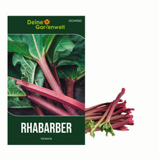 Rhabarber Victoria Samen -