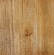 Golden Pine Holzlasur auf Wasserbasis VOC-arm umweltfreundlich schnelltrocknend Holzfarbe