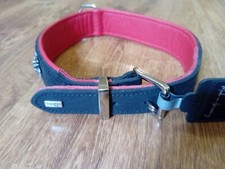 Hunter Hunde Halsband Swiss