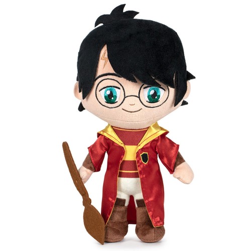 Harry potter quidditch - harry,