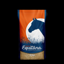 Rudloff Equitana Pferdeweide