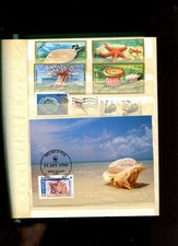 Motiv Muscheln Seesterne