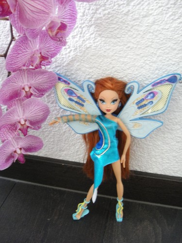 Winx club doll - ,