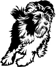 BEARDED COLLIE Aufkleber -