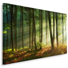CANVAS Leinwand Bilder XXL