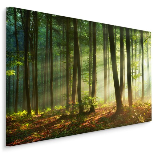 Canvas leinwand bilder - leinwand, xxl