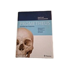Kopf und neuroanatomie - kopf,