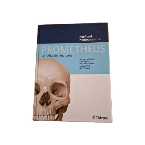 Kopf und neuroanatomie - kopf,