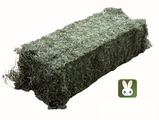 Heu für Meerschweinchen und