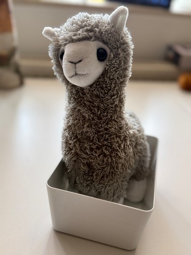 Plüschtier graues lama - plüschtier,
