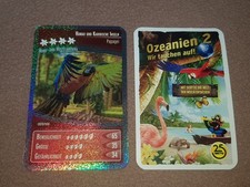Netto ozeanien 2 - netto,