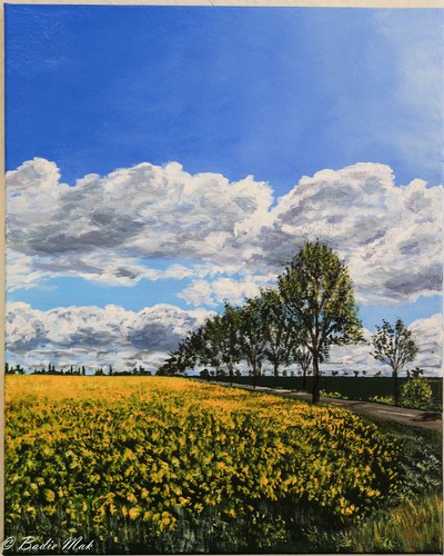 Eigenes acrylbild leinwand - eigenes,