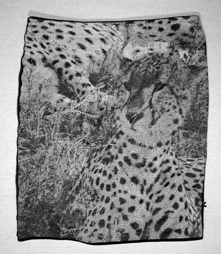 Rock zebra gepard marc - rock,
