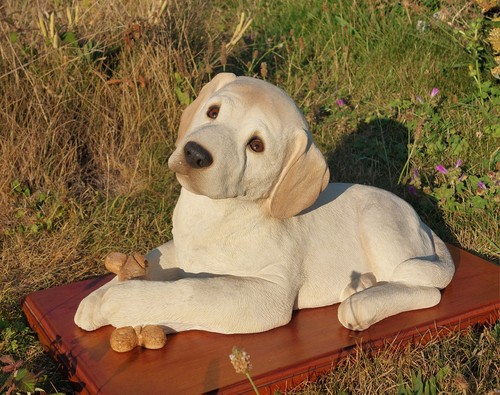 Seltener sandicast labrador - sandicast,