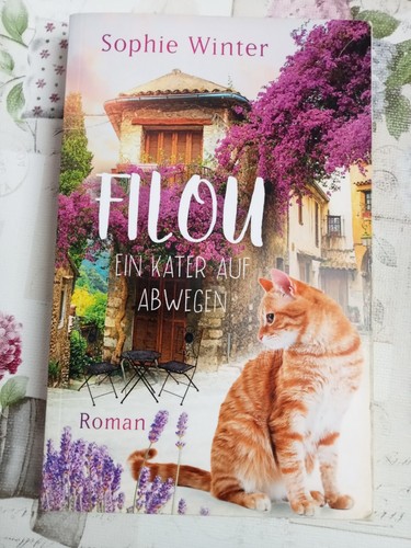 Filou ein kater - -,