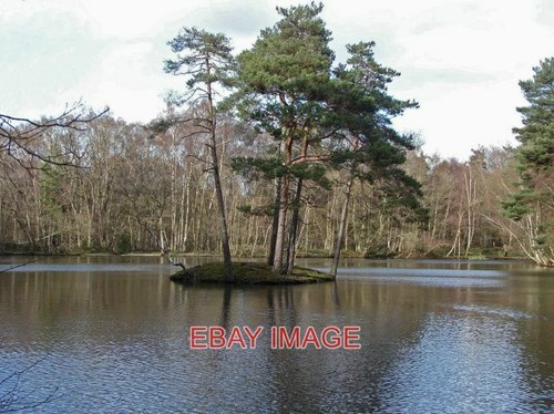 Foto heideteich simons holz - foto,
