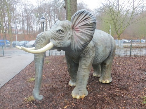 Xxl elefant lebensgroß m - 2,20,