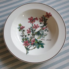Botanica salatschale - v&b,