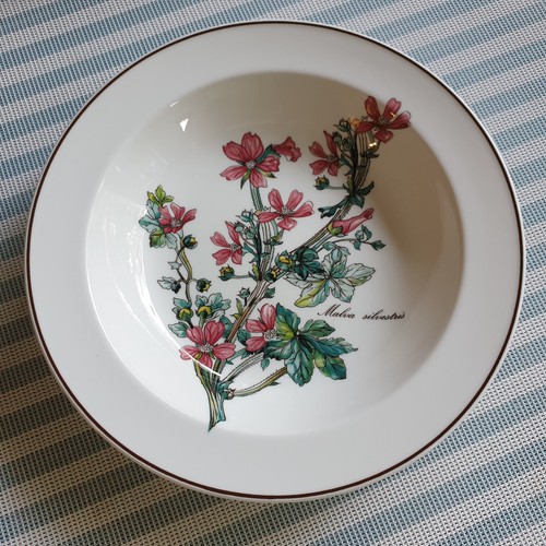 Botanica salatschale - ,