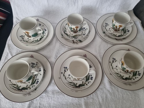 Villeroy boch botanica 6 - villeroy, x