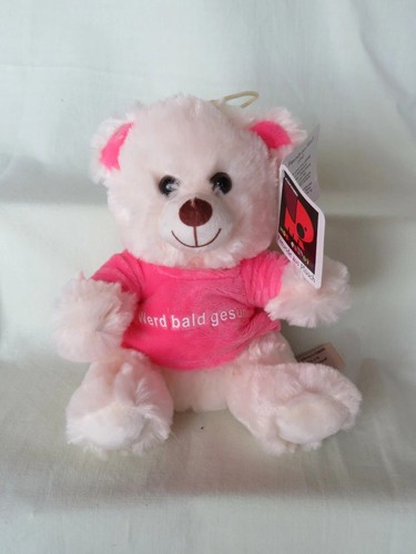 Plüschbär teddy mit pinkem - teddy,