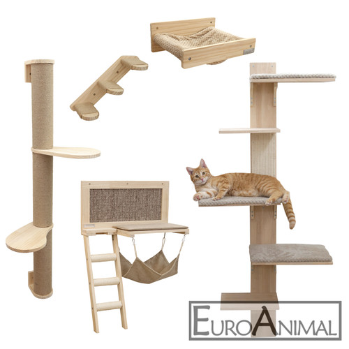 Katzen kletterwand - katzen,