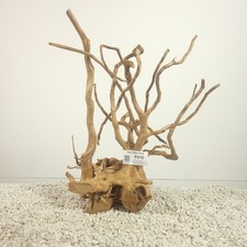 Treibholz für Aquarium