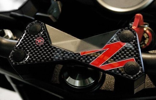 Schutz gabelplatte - 3d,