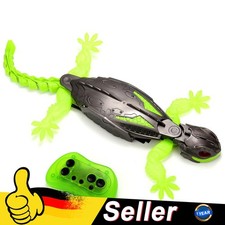 Wandklettern Gecko