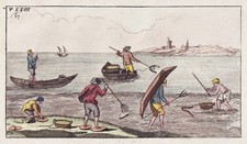 Moray eel eel fishing fishing