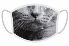 FERA Schutzmaske Britisch