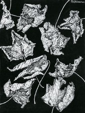 Michaela krinner 1915 - krinner, 1915-2006