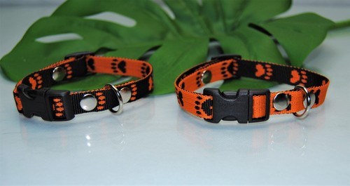 Halsband orange pfötchen 15mm - orange,