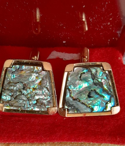 Abalone seeopal - abalone,