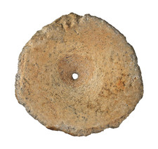 Lias  Großer Ichthyosaurus