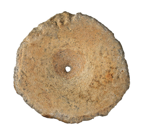 Lias großer ichthyosaurus - lias,