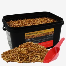5 Liter Mehlwürmer Koifutter Vogelfutter Reptilien Fische Nager Eimer + Schaufel