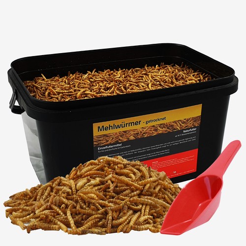 Liter mehlwürmer koifutter - 5,