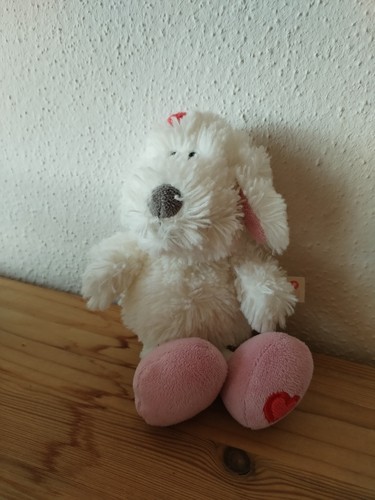 Nici hund hündin love - hündin,