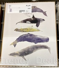 Ikea BILD Poster Picture 16