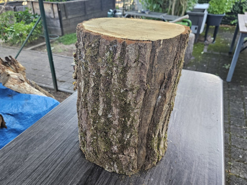 Holz eiche hauklotz natur - eiche,
