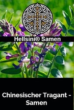 Chinesischer Tragant Astragalus membranaceus 50 Samen Hellsini®Samen