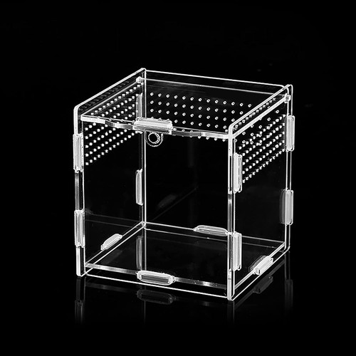 Reptilien zuchtbox aus - reptilien-zuchtbox, acryl