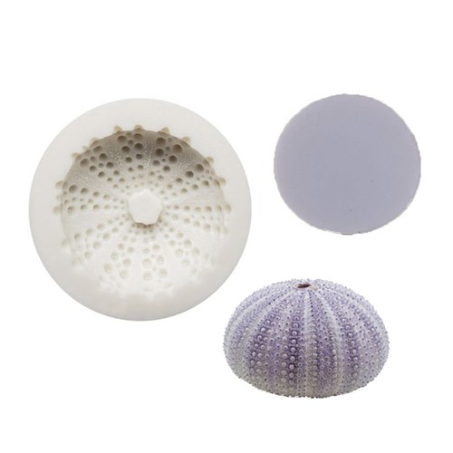 Sea urchin shell shape - urchin,